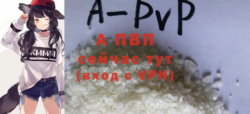 A-PVP СК КРИС  Верея 